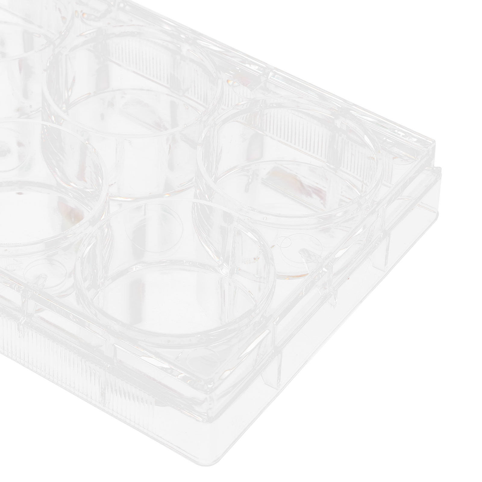 조직 배양 플레이트 실험실용 내구성 있는 실용적인 디자 - Lab Equipment 리뷰 및 가격